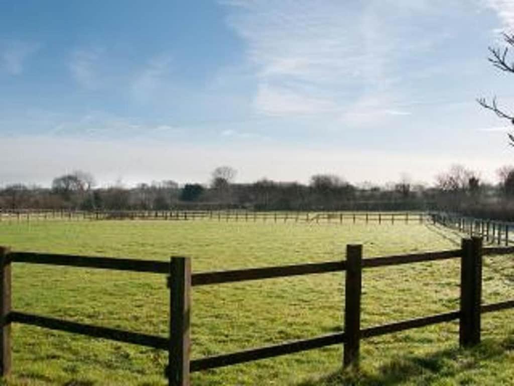 Owls Nest - Peace And Tranquility Near Woodbridge & Framlingham In Rural Suffolk Apartment Exterior foto