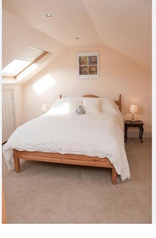 Owls Nest - Peace And Tranquility Near Woodbridge & Framlingham In Rural Suffolk Apartment Exterior foto